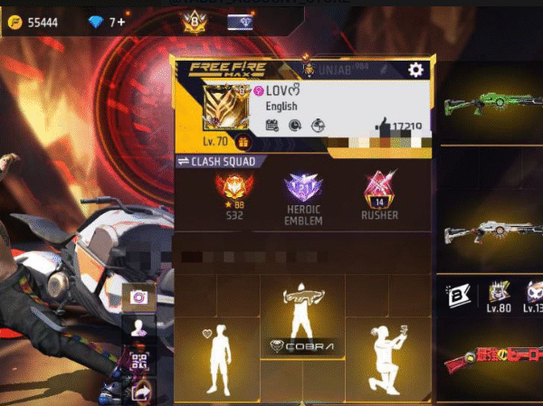 Level 70 Free Fire | 222+ Bundles | 426 Guns | 70 Emotes