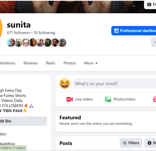 615k+ Usa-Vietnam View Non-Monetized FB Page | 600+ Follower | No Policy Issue