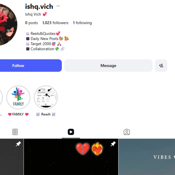1k+ Follower Instagram | 12k+ View | No Policy Issue