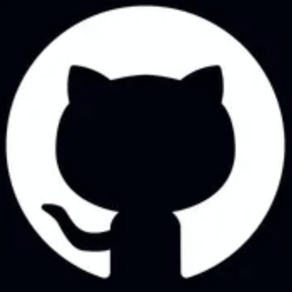 1 Year Developer Github Plan