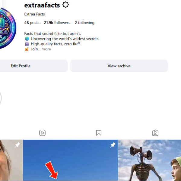 21k+ Follower Instagram | 2.7m View | No Policy Issue